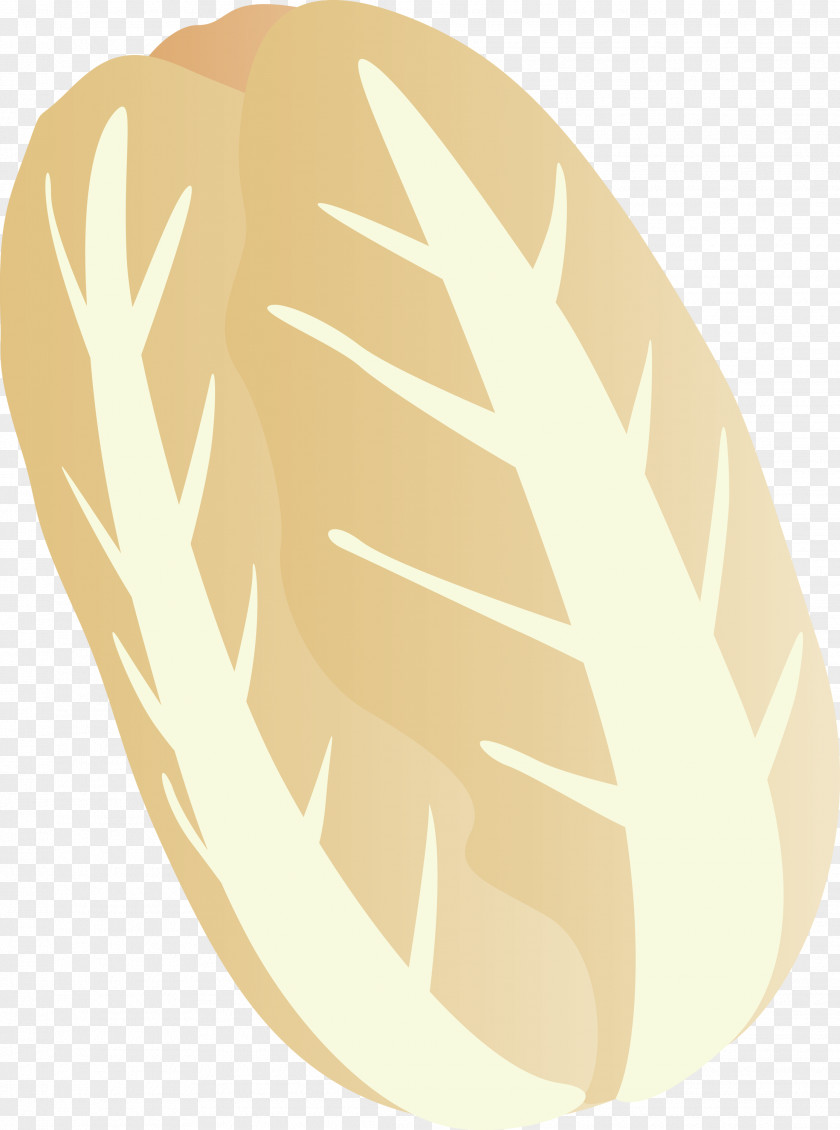 Nappa Cabbage PNG