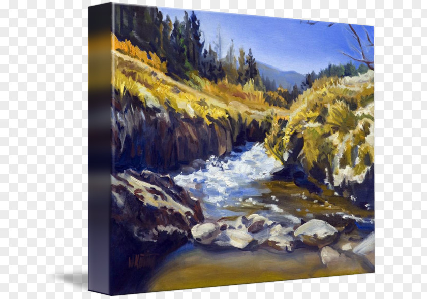 Painting Watercolor Fluvial Landforms Of Streams Gallery Wrap Acrylic Paint PNG