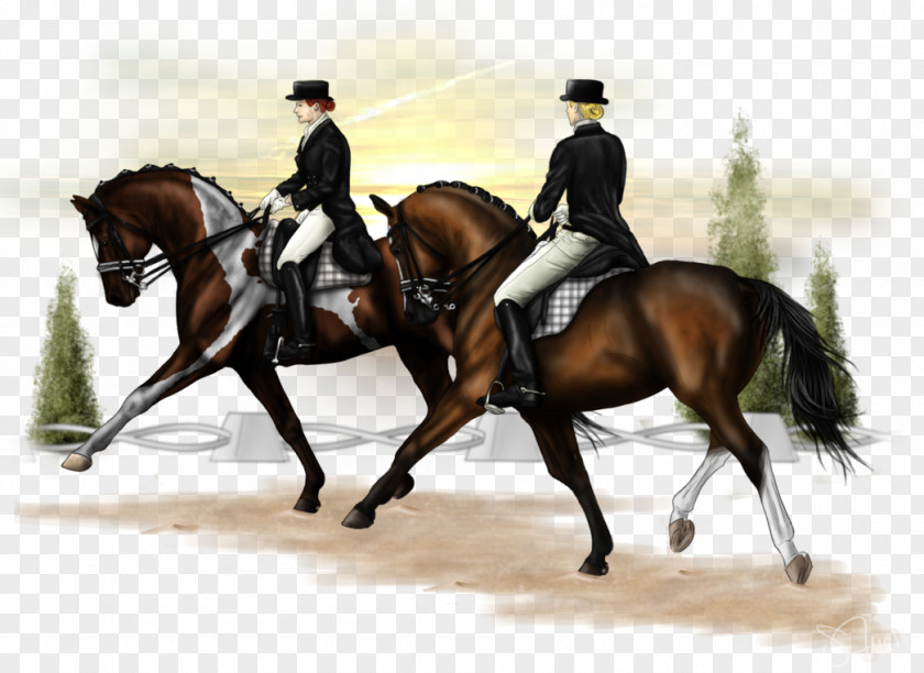 Pas De Deux Hunt Seat Dressage Equestrian Horse Bridle PNG
