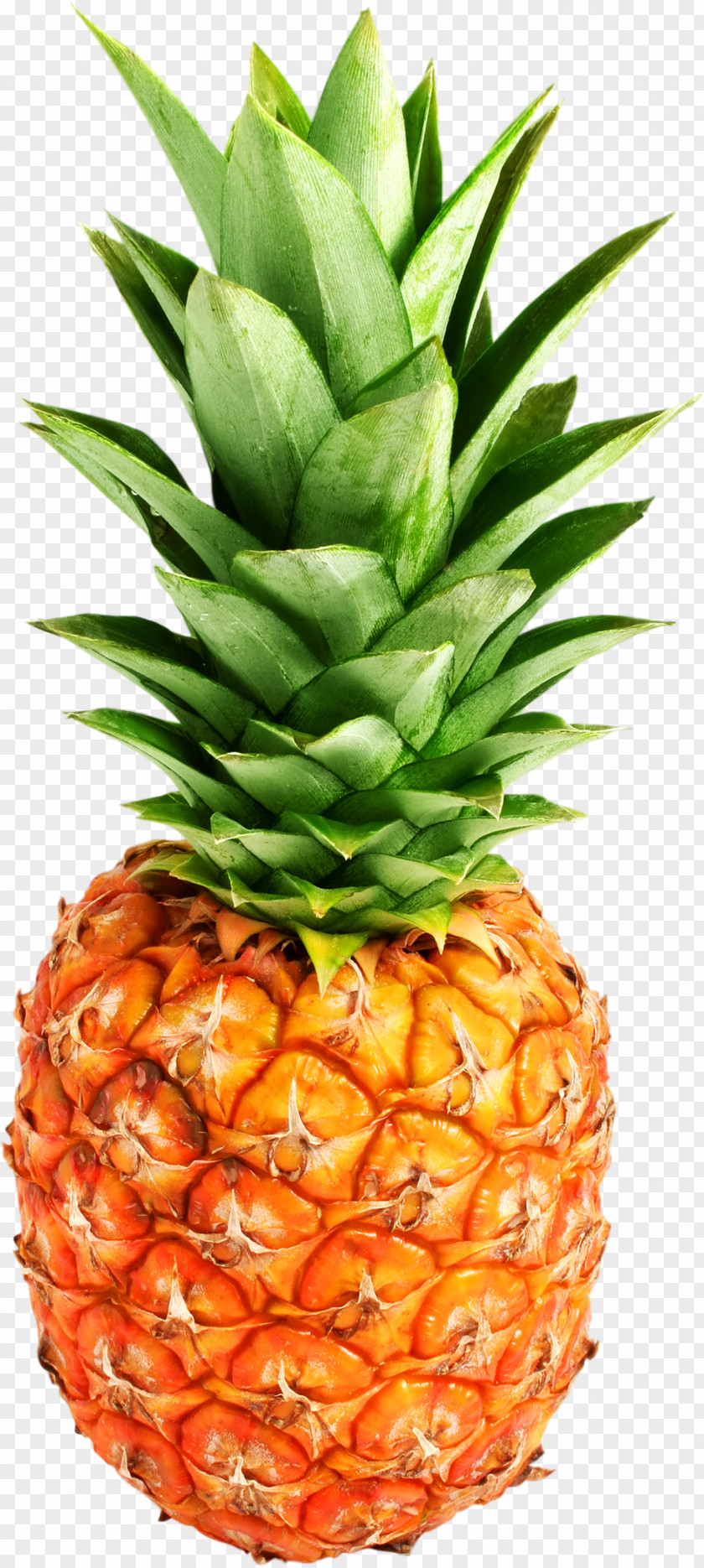 Pineapple Image, Free Download Juice Clip Art PNG