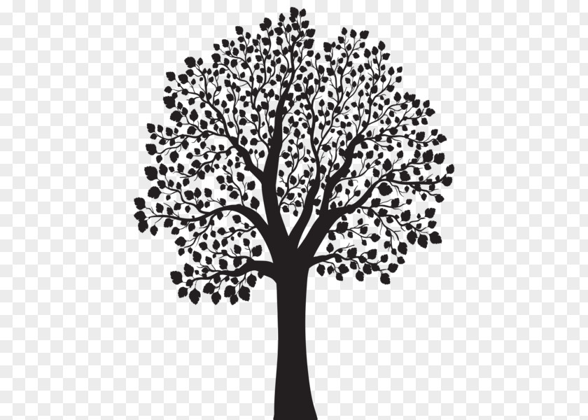 Tree Royalty-free Drawing Clip Art PNG