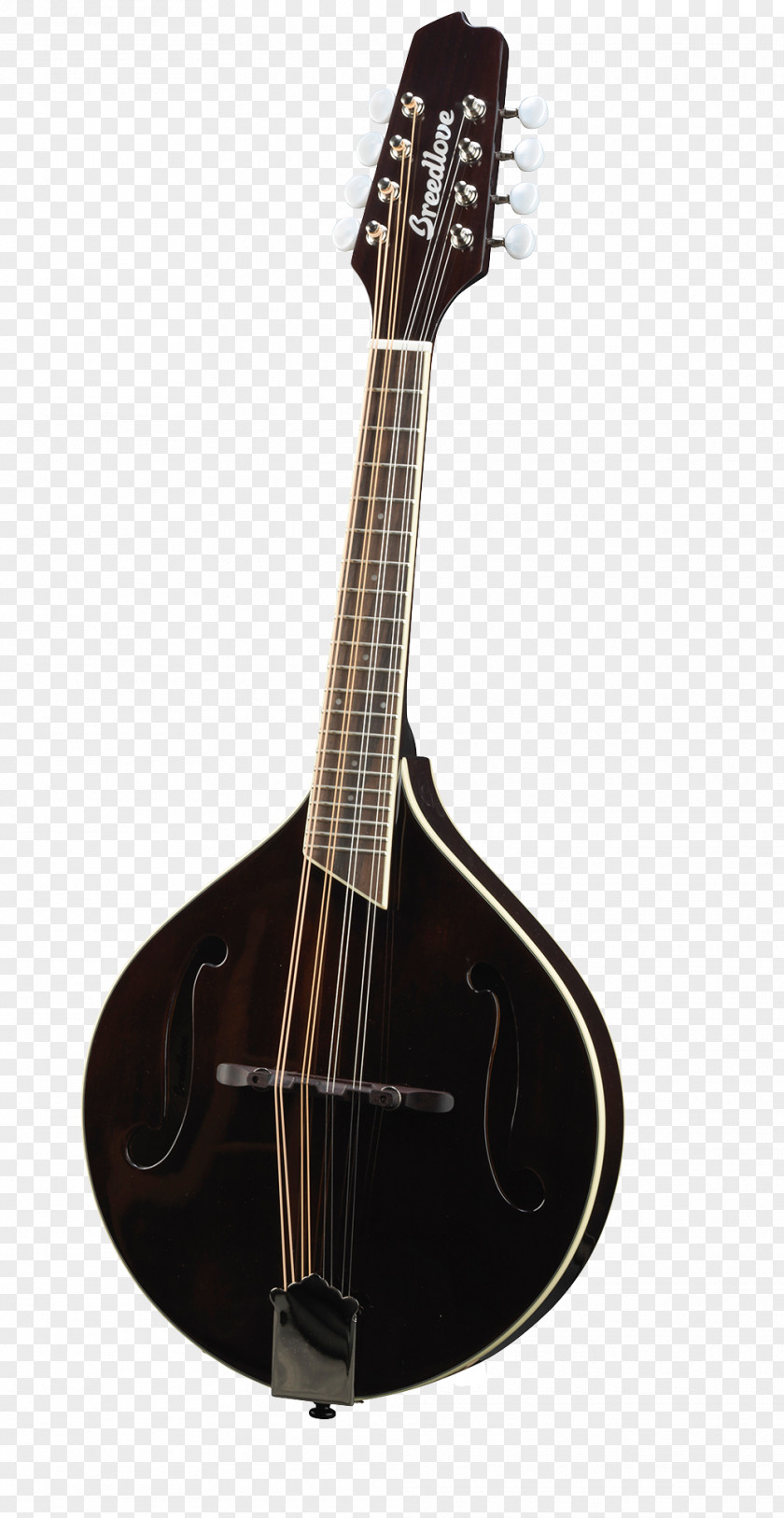 Acoustic Guitar Mandolin Tiple Acoustic-electric Cuatro PNG