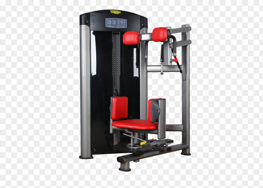 Bodybuilding Exercise Equipment Fitness Centre Torso PNG