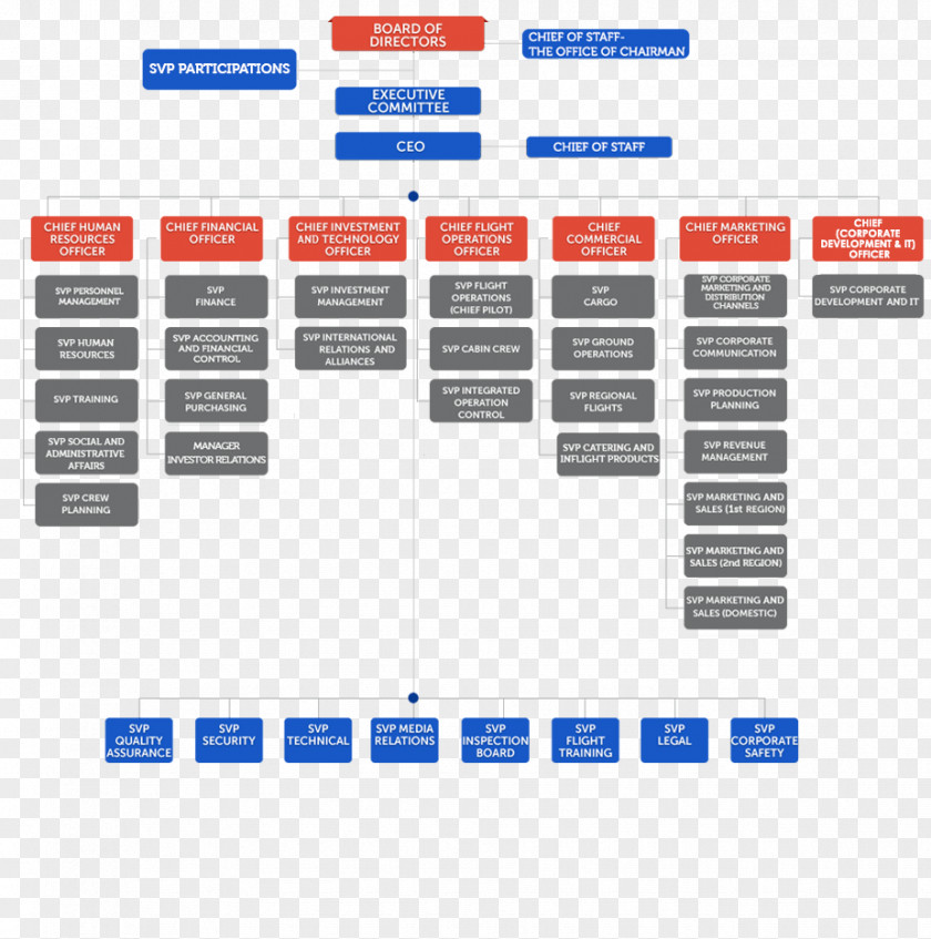 Business Flight Organizational Chart Turkish Airlines PNG