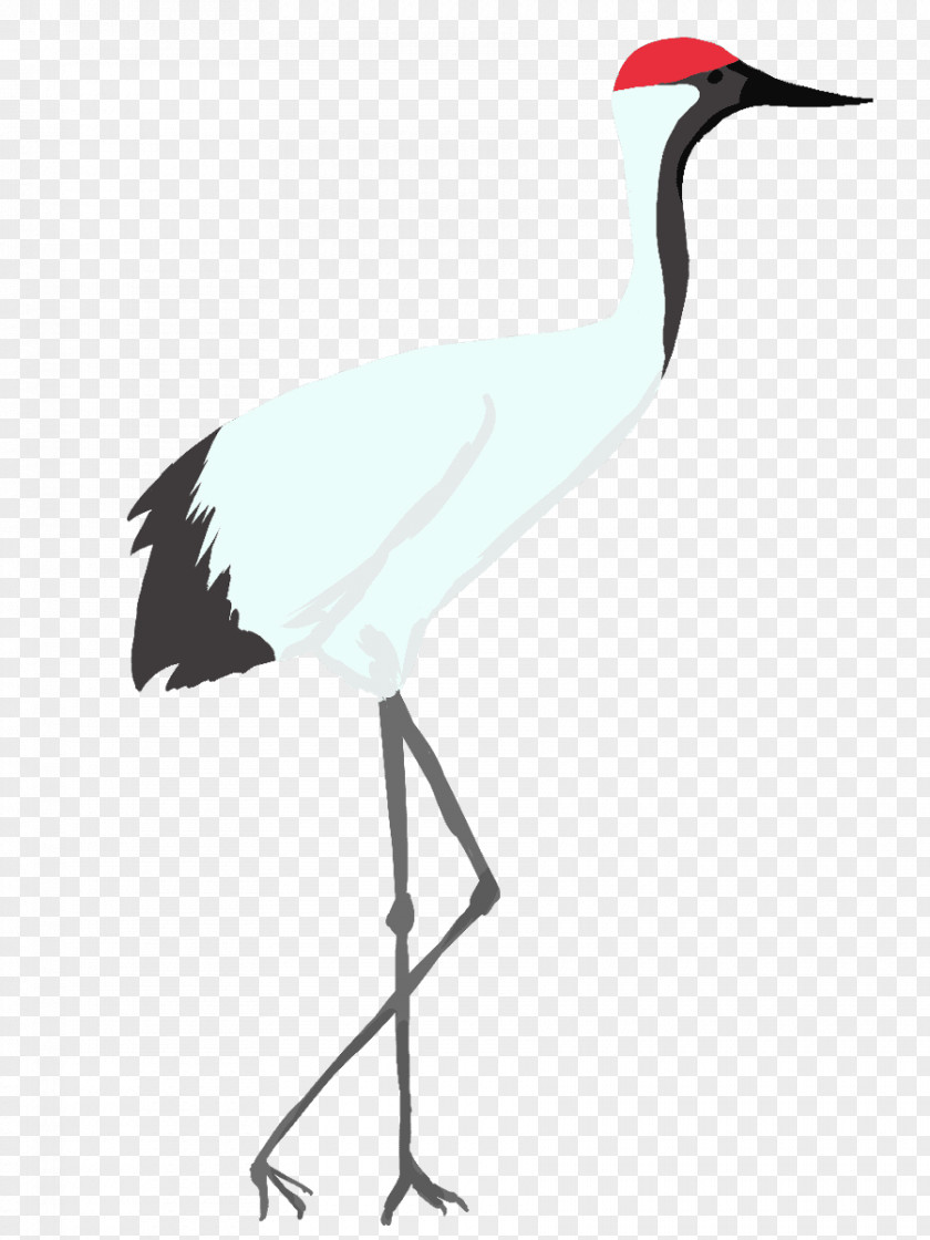 Crane White Stork Water Bird PNG