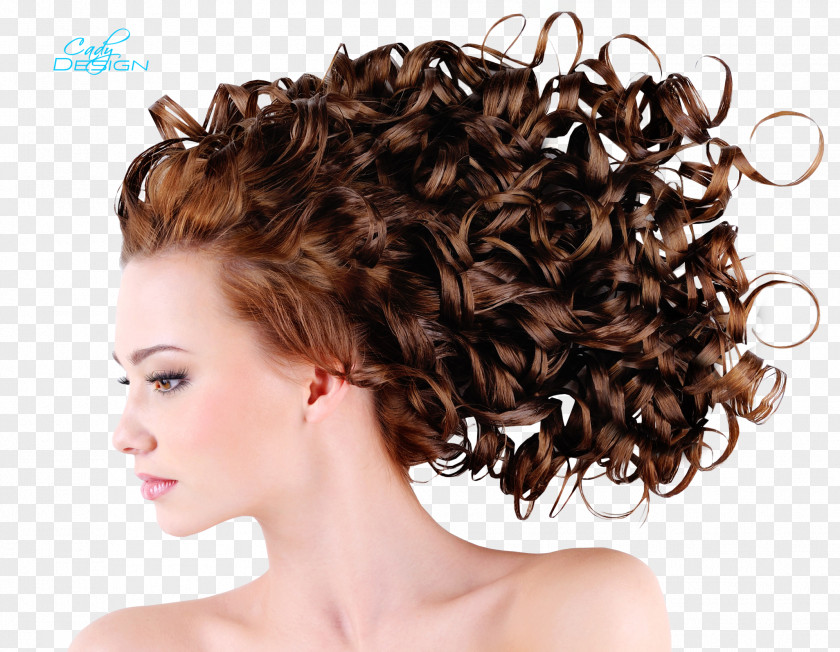 Hair Iron Hairstyle Updo Fashion PNG
