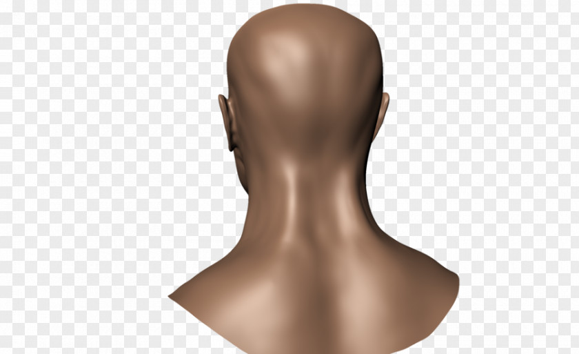 Human Back Head Body Muscle PNG