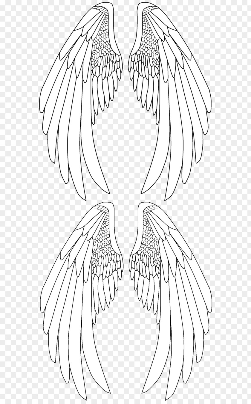 Ink Wings Line Art Drawing Beak PNG