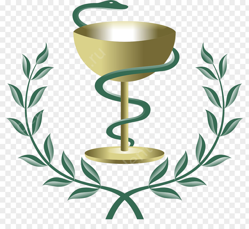 Pharmacy Logo Pharmacist Health Care Bowl Of Hygieia PNG