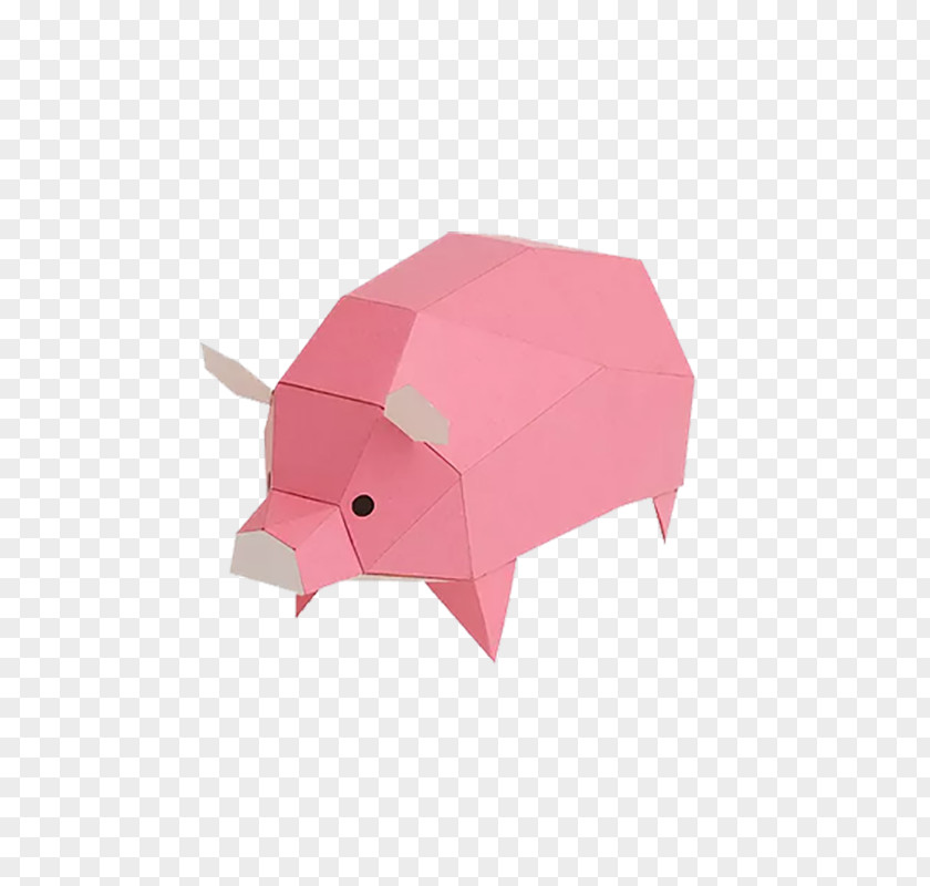 Pig Snout PNG