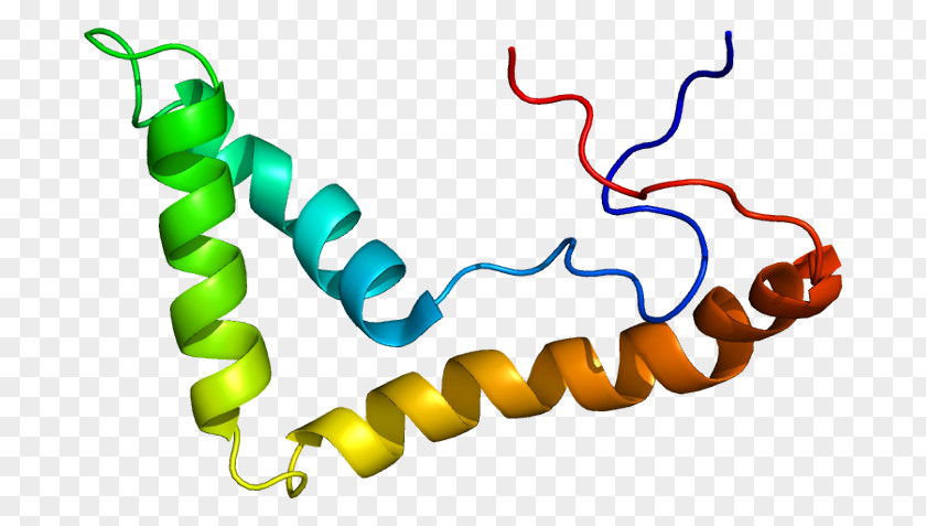 UBTF Protein Transcription Factor Kinase Nucleolus Organizer Region PNG