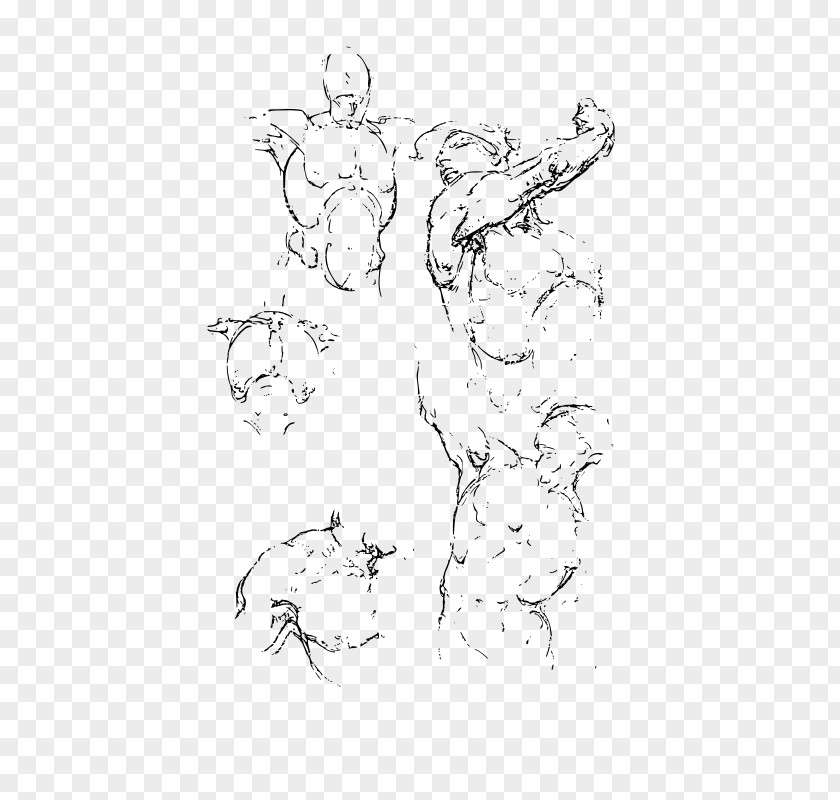 Anatomy Drawing Constructive Mammal Figure PNG