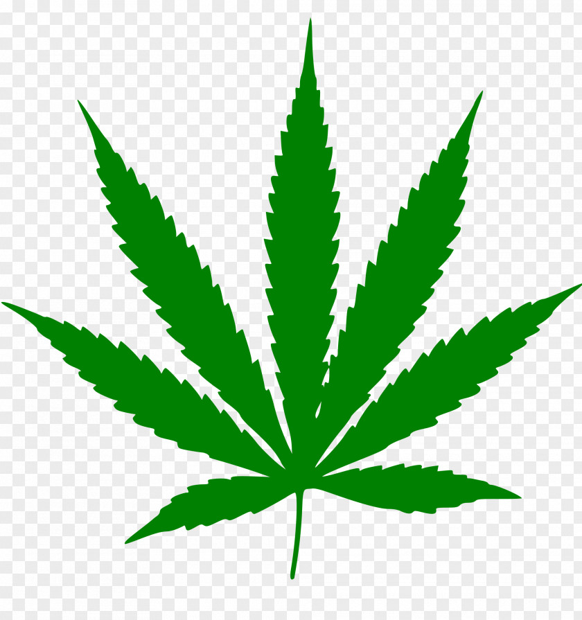 Cannabis Smoking Leaf Plant Stem Tree PNG
