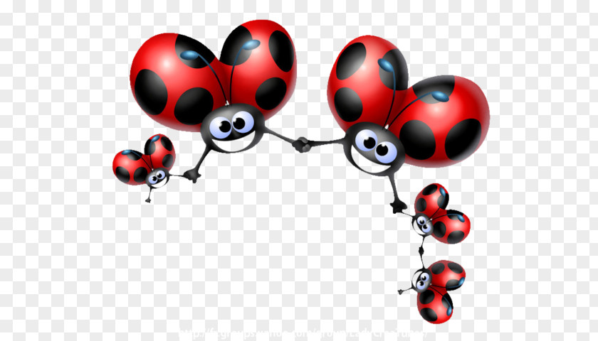 Coccinelle Ladybird Beetle Drawing Clip Art PNG