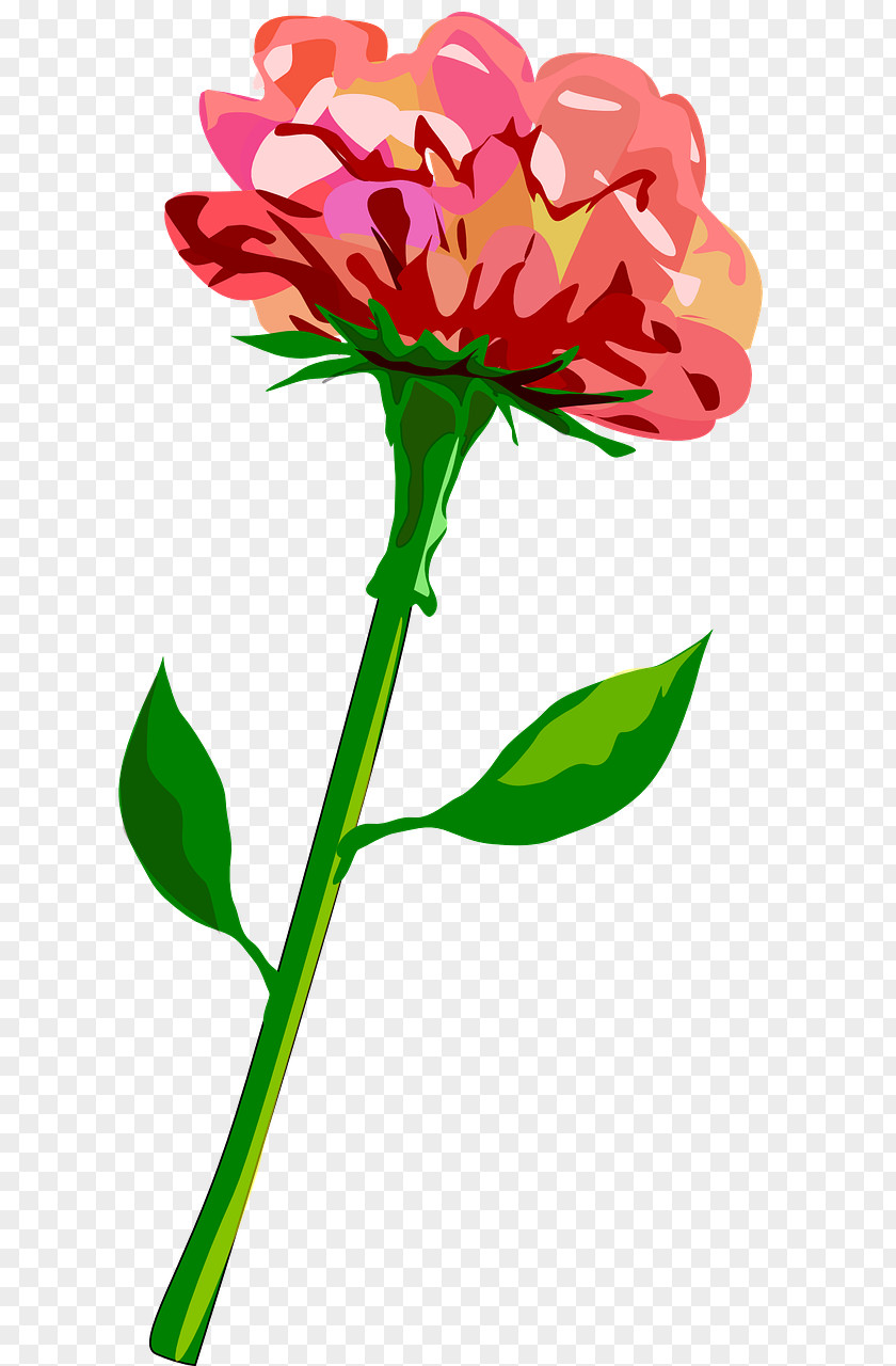 Flower Clip Art Plant Stem Red PNG