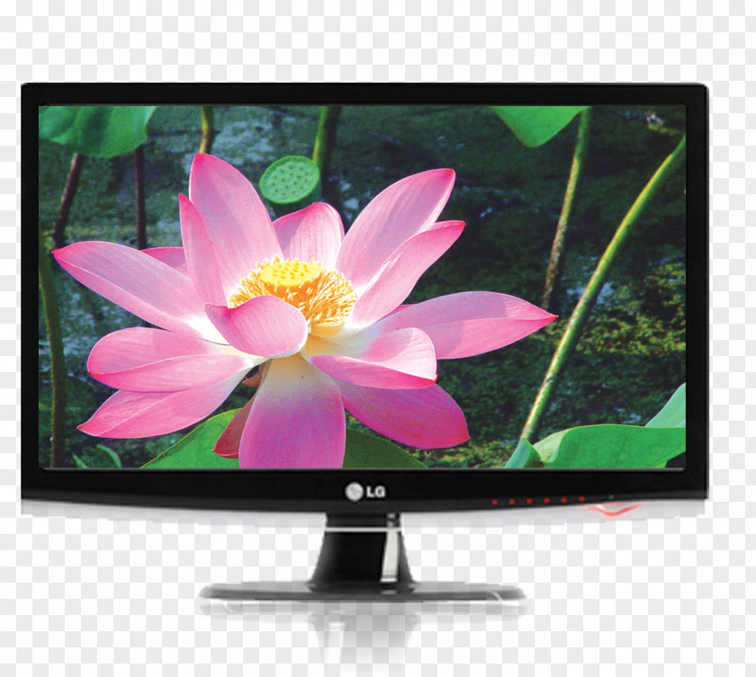 Lotus Wallpaper Computer Display Table Furniture LG Corp Drawer Television PNG