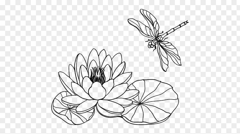 Petal Membranewinged Insect Line Art Black-and-white Leaf Flower Coloring Book PNG