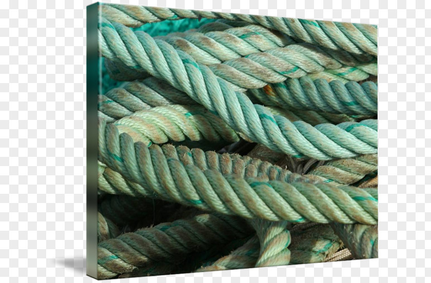 Rope Turquoise PNG