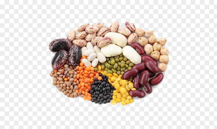 Bean Legume Protein Health Food PNG
