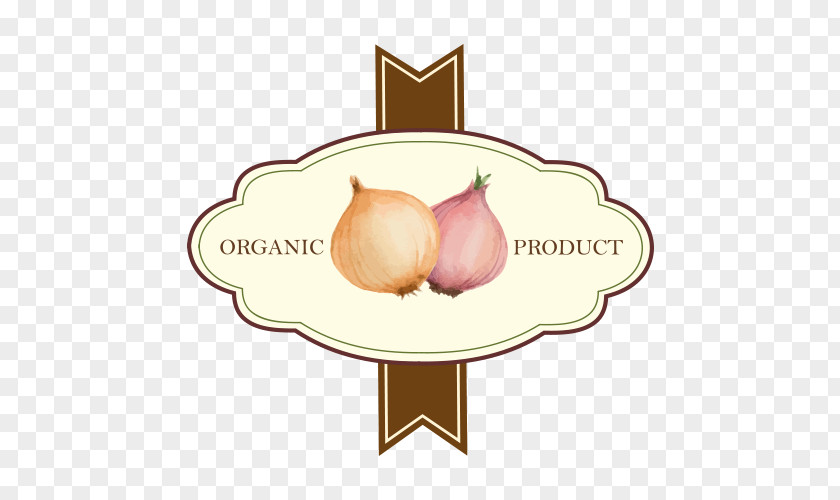 Onion Vegetable Labels Shallot Icon PNG