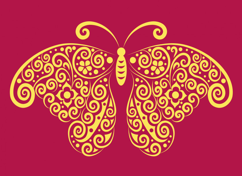 Ornaments Butterfly Drawing Line Art PNG
