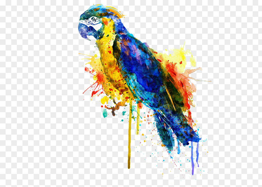 Parrot Fine Art Watercolor Painting Bird PNG