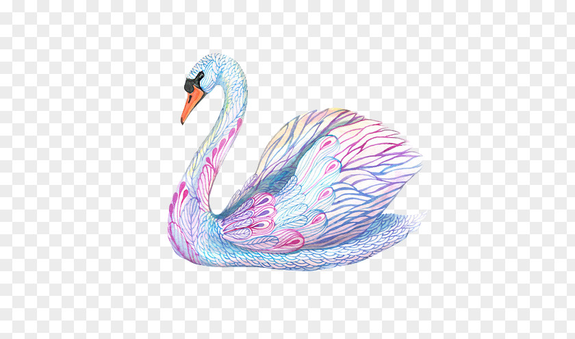Cygnini The Black Swan: Impact Of Highly Improbable Painting Illustration PNG of the Illustration, swan clipart PNG