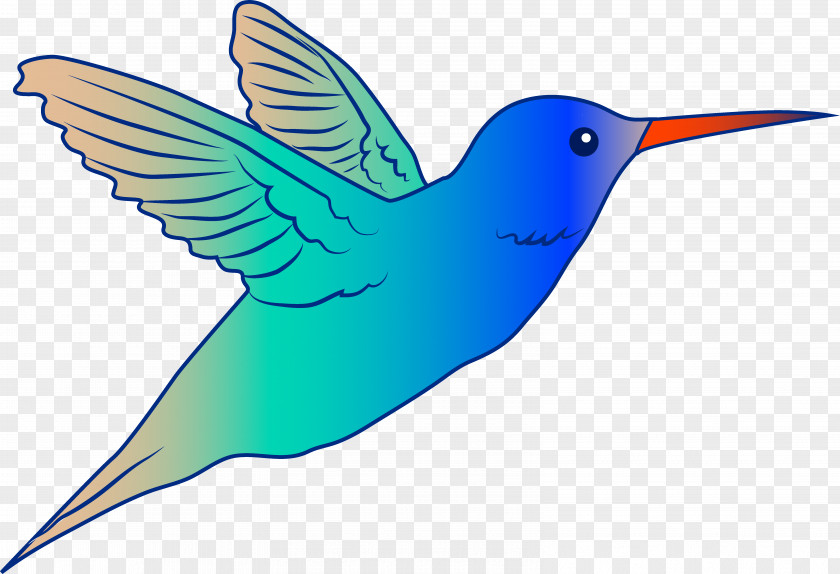 Free Hummingbird Clipart Drawing Royalty-free Content Clip Art PNG