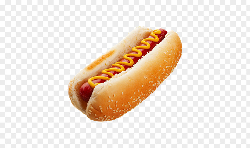 Hot Dog Bun Hamburger Toast PNG