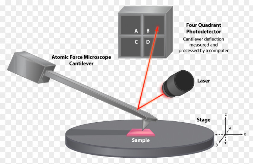 Microscope Atomic Force Microscopy Scanning Electron Microorganism PNG