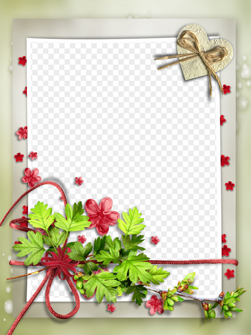 Mood Frame Pictures Picture Idea Photography Film Molding PNG
