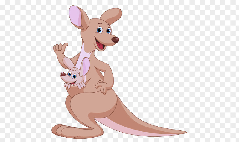 Red Kangaroo Animation Macropodidae Cartoon Animal Figure PNG
