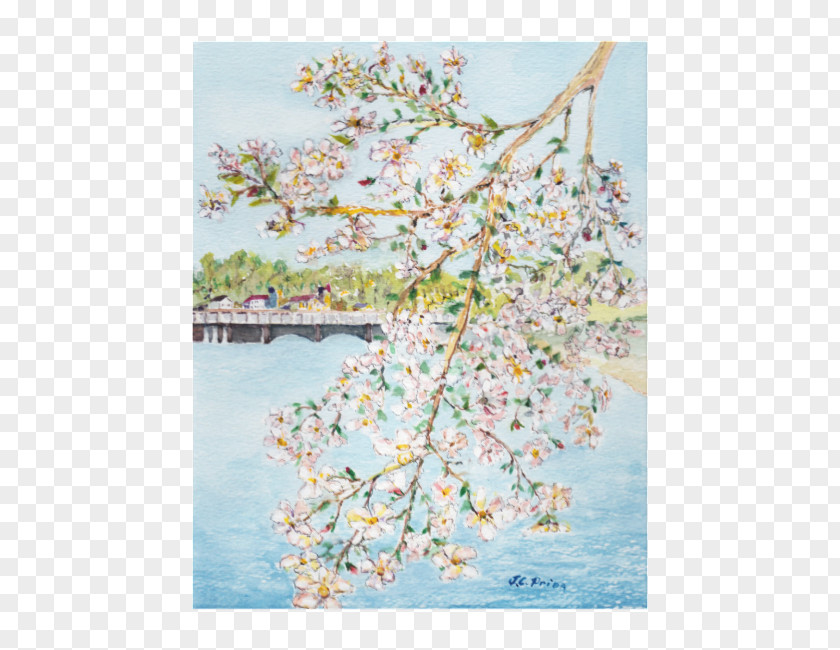 Cherry Blossom Watercolor Cat And Bird Painting Poster PNG