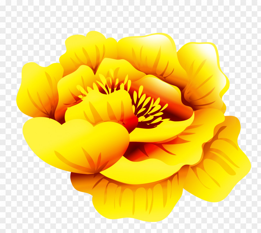 Peony Icon PNG
