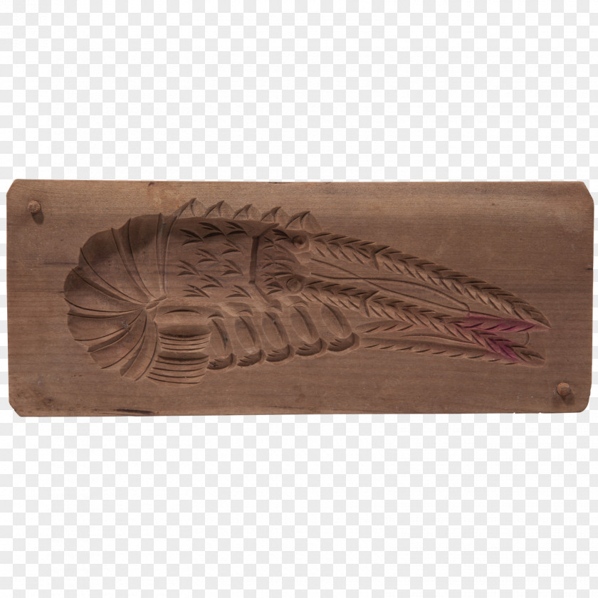 Shrimp Shape Fossil Group PNG