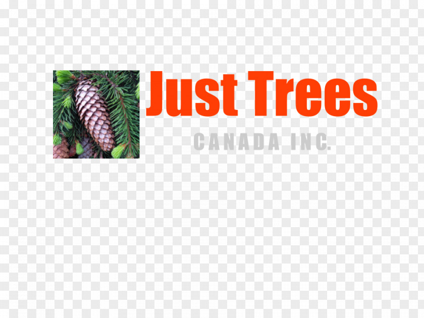 Tree Just Trees Canada Inc. Education Curso Livre Course PNG