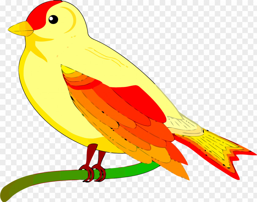 Bird Clip Art PNG