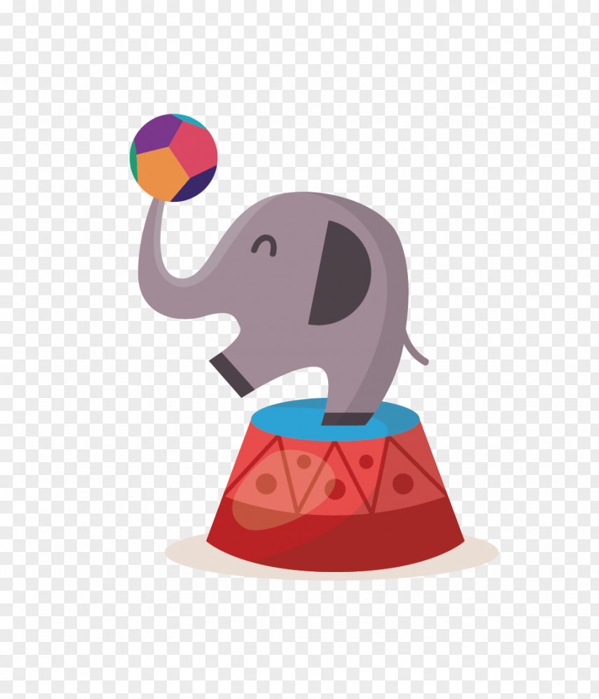 Circus Elephant Photography Illustration PNG