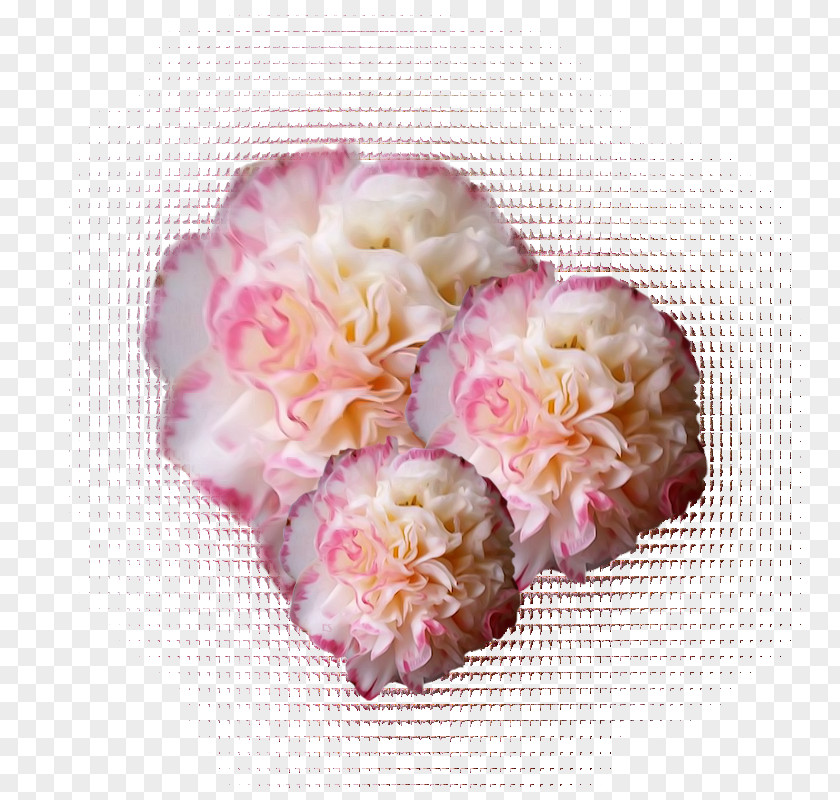 Flower Cut Flowers Clip Art PNG