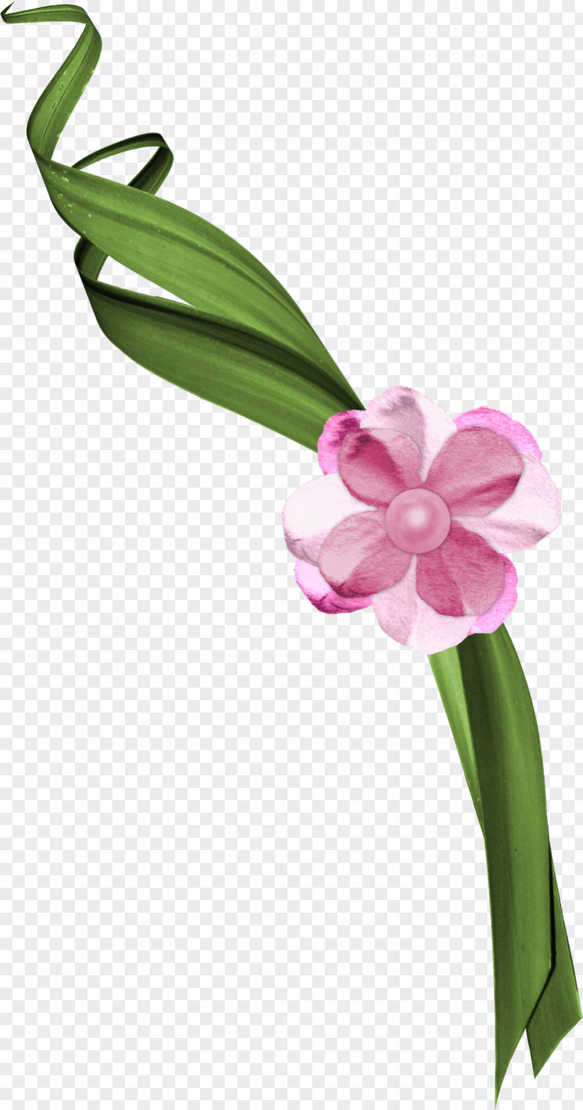 Flower Floral Design Cut Flowers Bouquet Plant Stem PNG