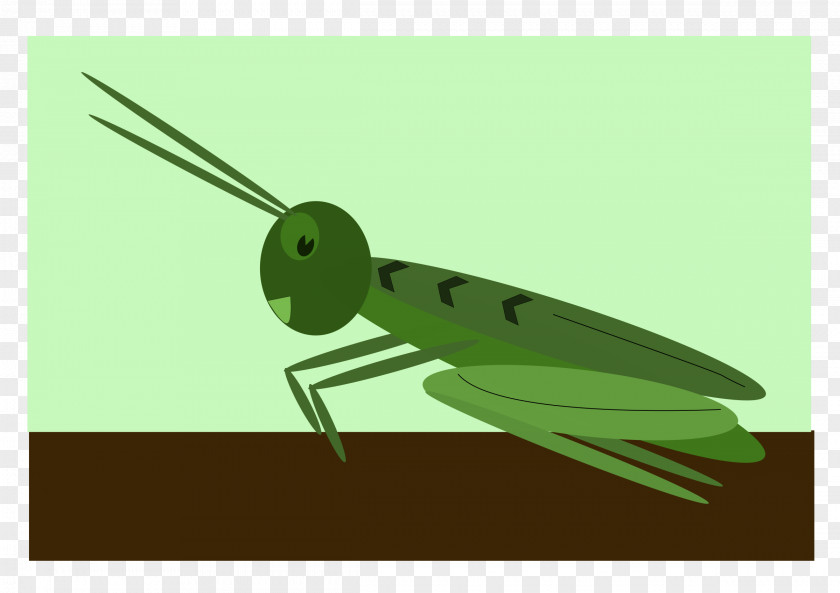 Grasshopper Jiminy Cricket Sound Effect Chirp PNG