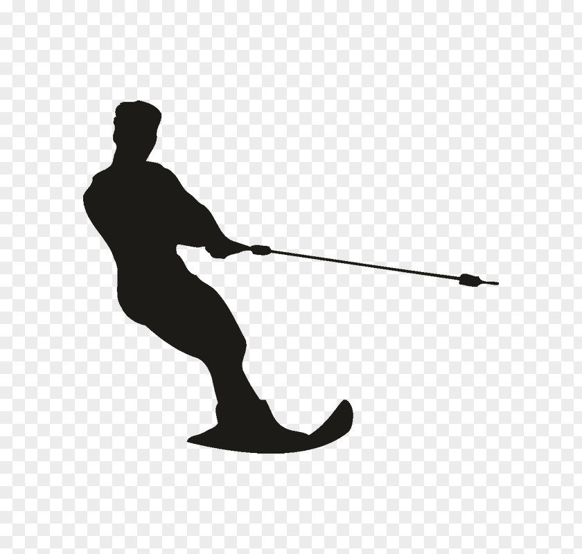 Skiing Water Stock Photography Clip Art PNG
