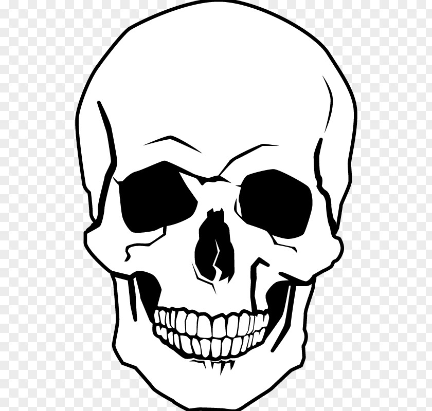 Skull Drawing Human Coloring Book And Crossbones PNG