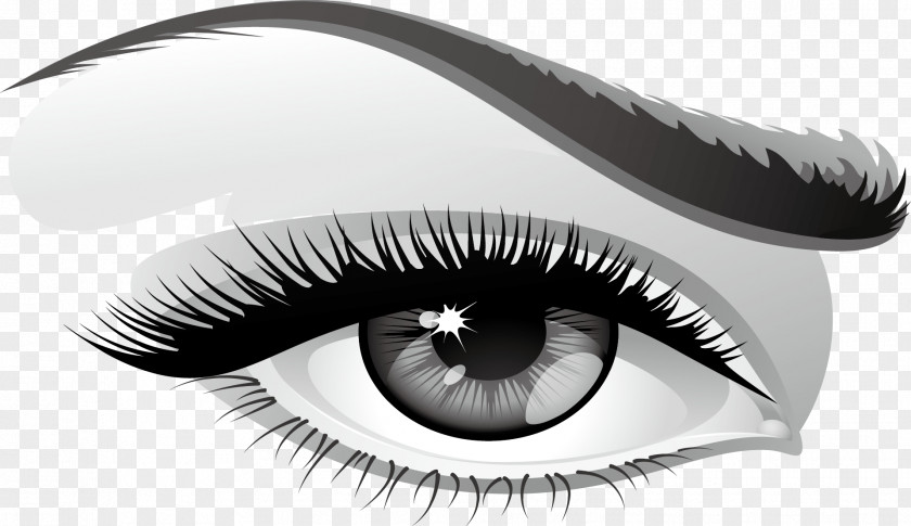 Vector Hand-painted Eyes Eyebrow Euclidean Clip Art PNG