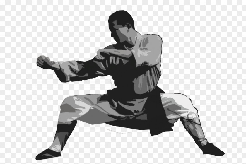 Chinese Martial Arts Yiquan Wushu Taolu PNG