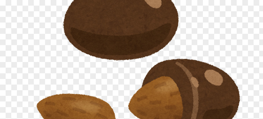 Chocolate Almond Praline Truffle Bonbon Lebkuchen PNG