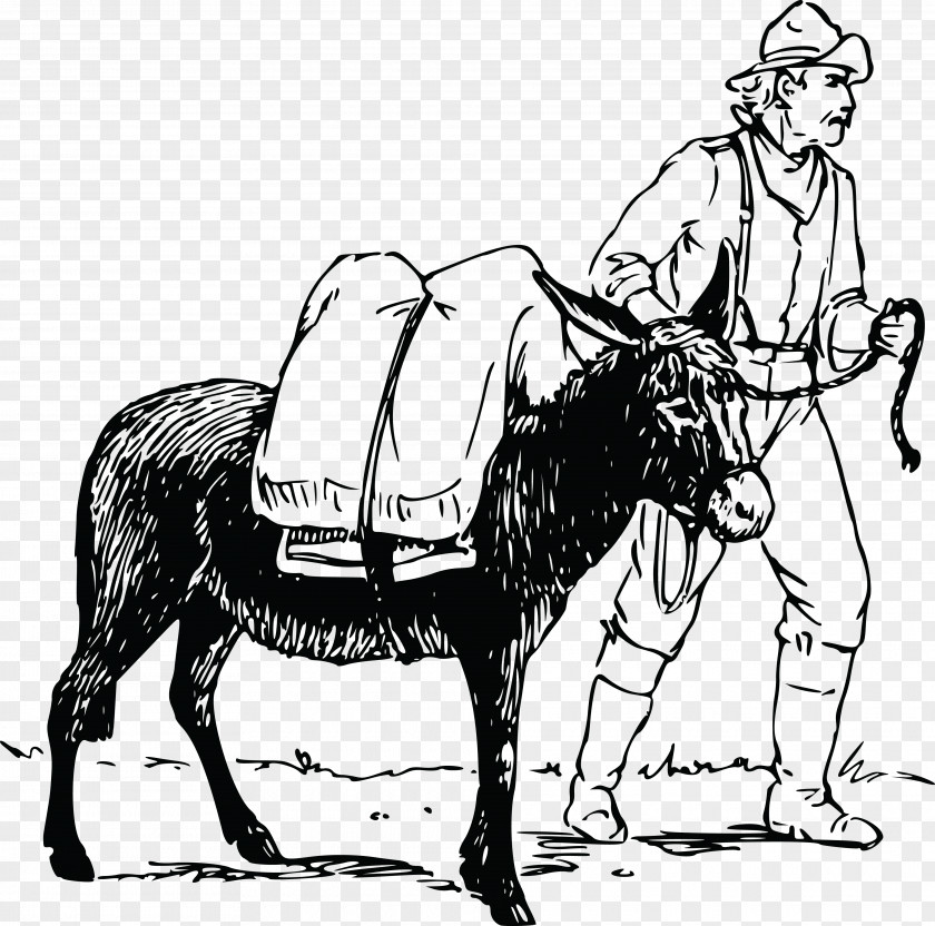 Donkey Mule Male Drawing Clip Art PNG