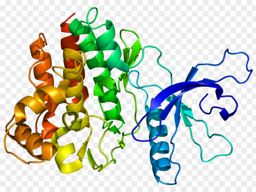 Pictures Of Children Helping Others Janus Kinase 2 3 Inhibitor Tyrosine PNG