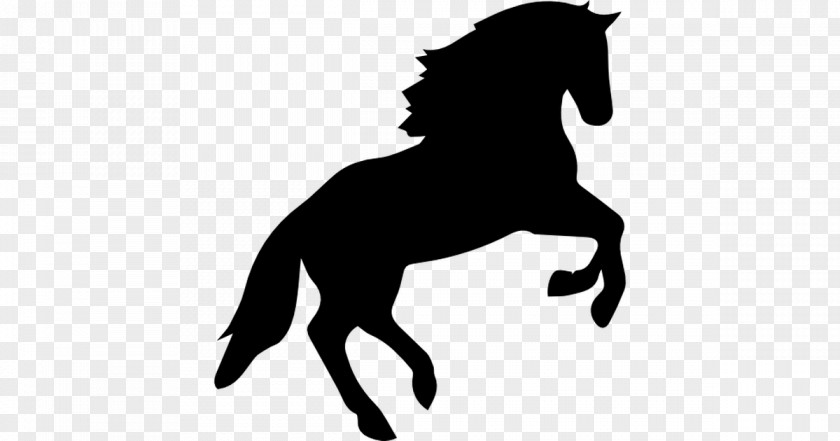 American Paint Horse Equestrian Jumping Clip Art PNG