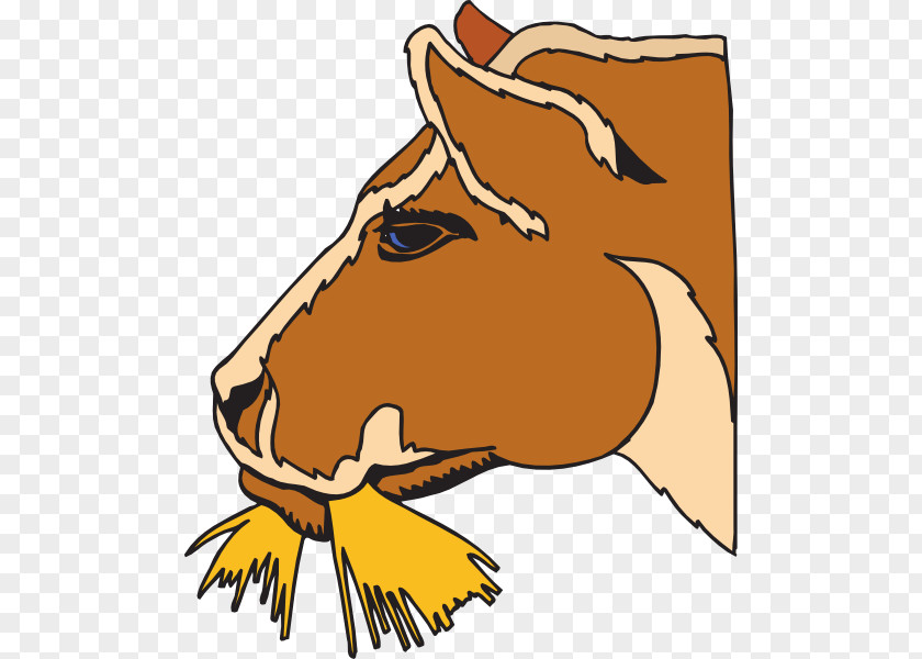 Cow Eating Cliparts Cattle Horse Hay Clip Art PNG